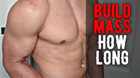 How Long Does It Take To Build Muscle Mass How Much Can You Gain