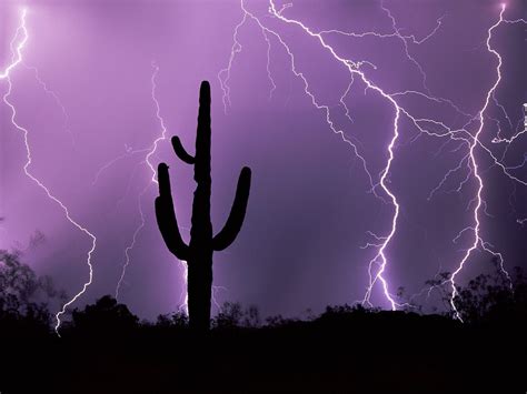 Nature Desert Storm Tucson Arizona Picture Nr 47116