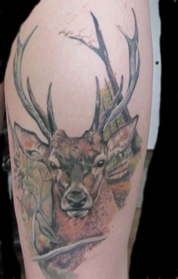 9 Best Deer Tattoo Designs And Pictures Styles At Life