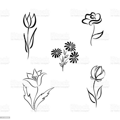 Choose from over a million free vectors, clipart graphics, vector art images, design templates, and illustrations created by artists worldwide! Flower Set Single Line Hand Drawn Floral Design Elements ...
