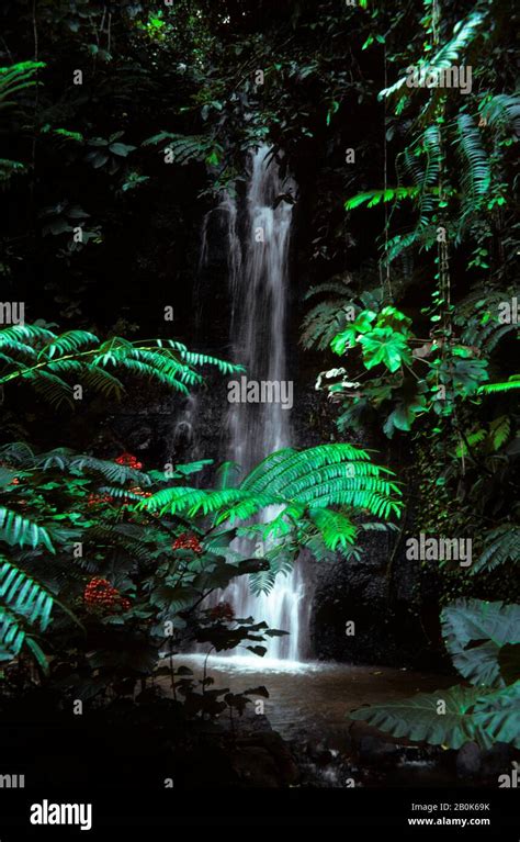Tahiti Wasserfälle Fotos Und Bildmaterial In Hoher Auflösung Alamy