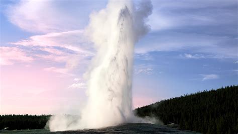 old faithful geyser in the evening sunset yellowstone national park