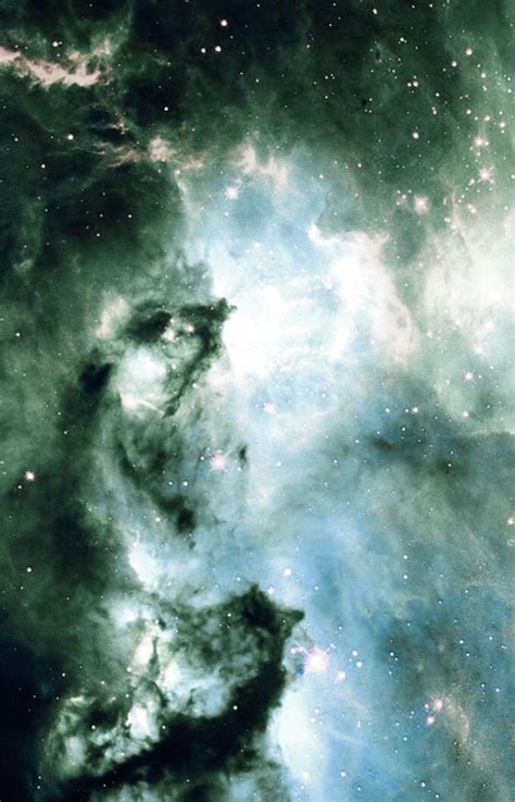 Ghost Head Nebula Detailcredit Nasahubble Coloreffects Thedemon