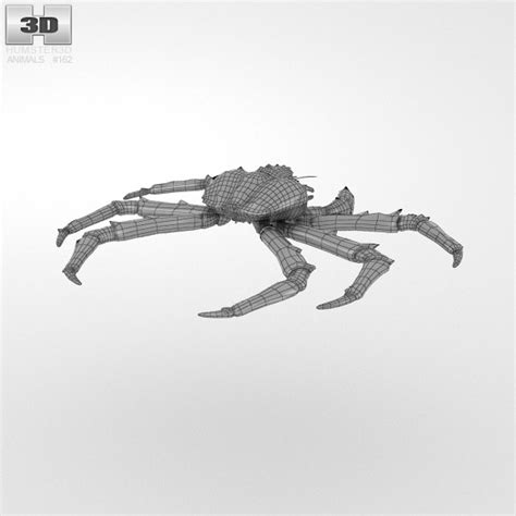Red King Crab 3d 모델 동물 On Hum3d