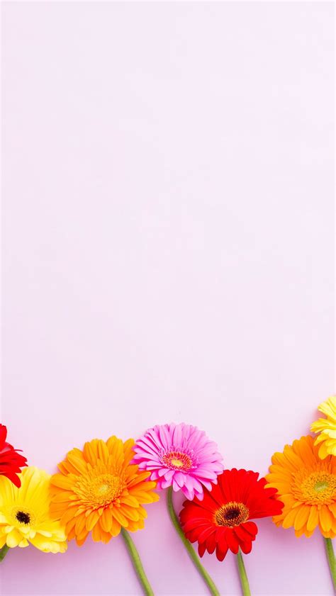 Yellow Floral Iphone Wallpapers Top Những Hình Ảnh Đẹp