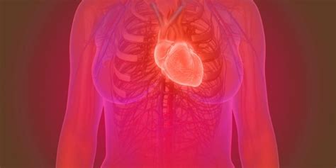 Maladie Cardiaque Quest Ce Que Larythmie