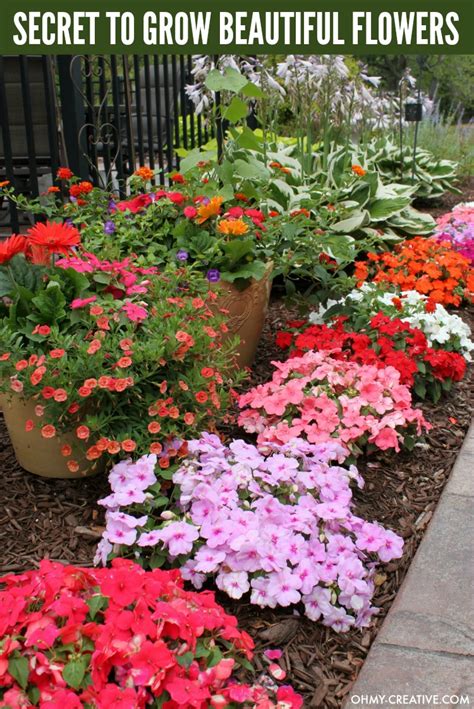 Rare flowers in our garden here in ohio that is usually early may and late august. How To Grow Beautiful Flowers - Oh My Creative