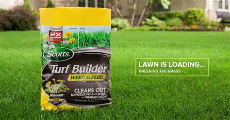 Your Summer Lawn Is Loading Whats Better Than Grass With No Weeds