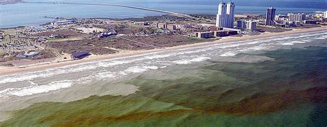 Biology, chemistry and physical conditions. What is a red tide?