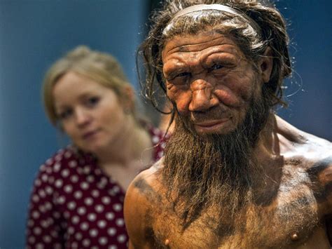 Neanderthal Genes Help Shape How Many Modern Humans Look Kcur