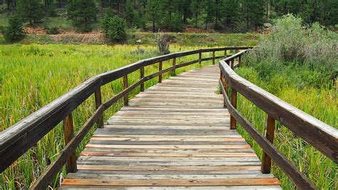 Free Photo Wooden Walkway Wooden Bridge Free Image On Pixabay 1305379