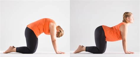 A Sequence To Awaken Your Core Yoga International