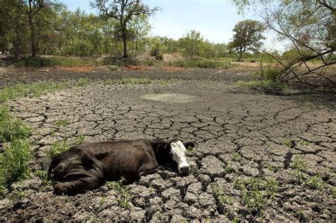 The Effects Of Droughts Droughts In Australia
