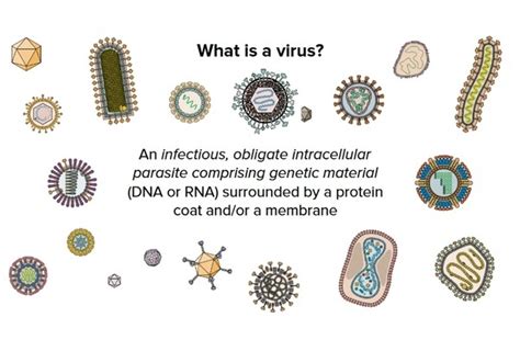 What Is A Virus Medical Yukti