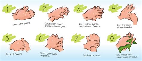 How Dirty Are Your Hands Correct Way To Wash Hands