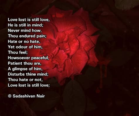 Lost Love Is Still Love Poem By Sadashivan Nair Poem Hunter