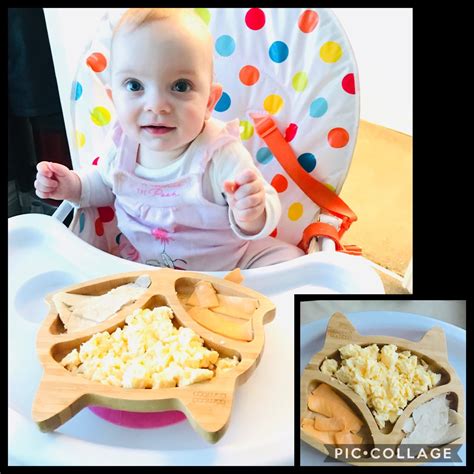Breakfast Ideas For My 9 Month Old Baby Baby Viewer