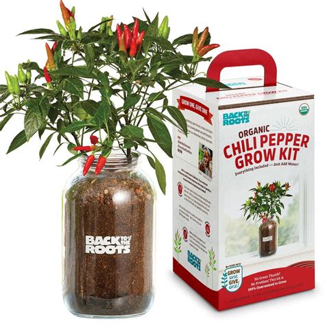 Back To The Roots Windowsill Organic Chili Pepper Grow Kit 25200 The