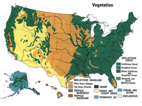 I filled in the regions with solid colors caption: Vegetation of USA