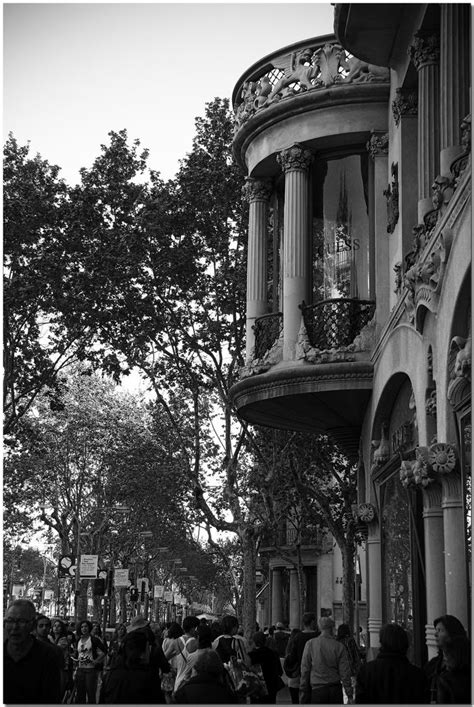 Elegant Passeig De Gràcia Imagen And Foto Ciudades Barcelona Motivos