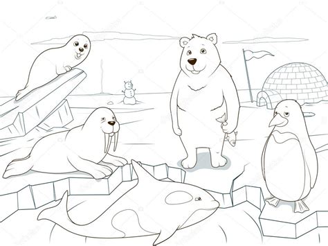 Arctic Animals Colouring Pages In The Playroom