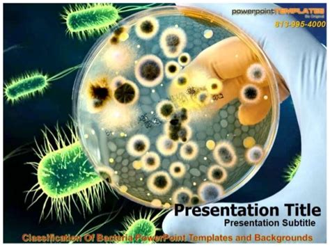 Classification Of Bacteria Power Point Templates And Backgrounds