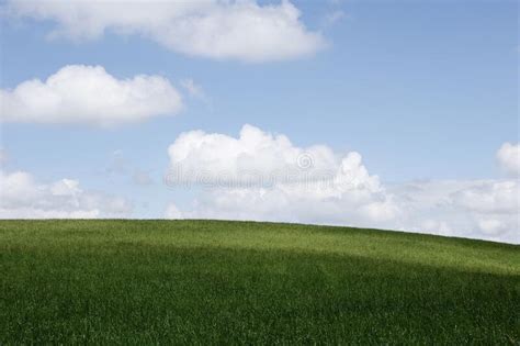 Landscape Photo Of Green Grass And Sky Stock Photo Image Of Wild