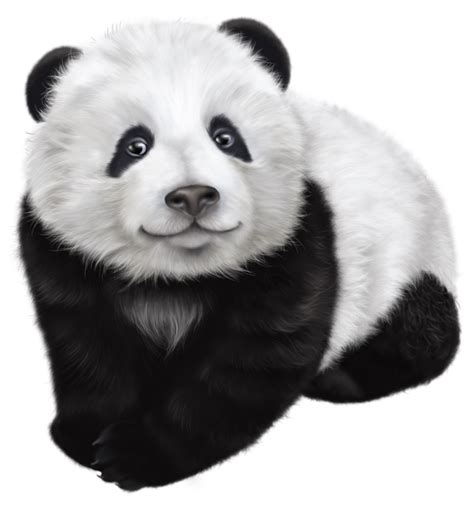 Giant Panda Red Illustrations Clip Art Cartoon Cute Clipart Image Riset