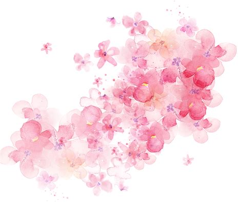 Cute Dibujos Animados Pnges Acuarela Vector Png Watercolor Rose Pink