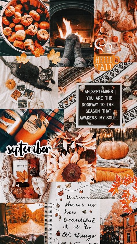 Check spelling or type a new query. Fall collage wallpaper | Iphone wallpaper fall, Cute fall ...