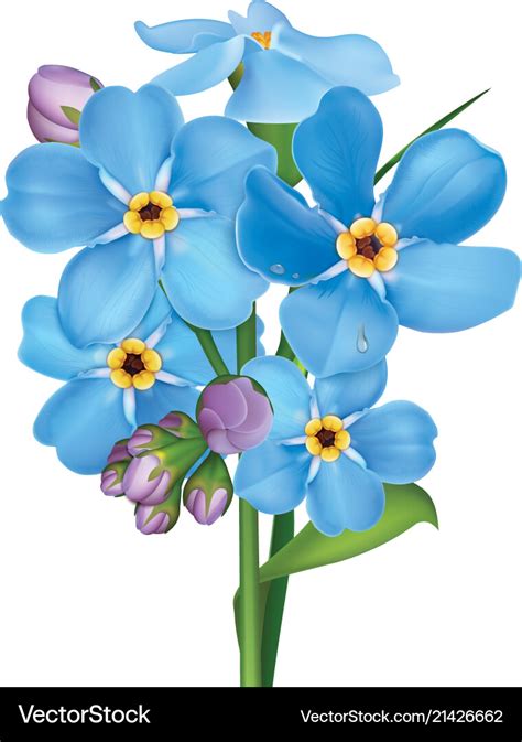 Bunch Of Blue Forget Me Not Flowers Royalty Free Vector