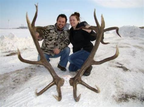 Record Minnesota Elk Could Be World Class Hunting News The