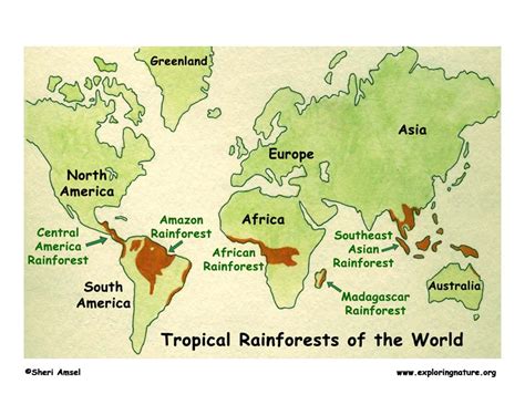 Rainforests Map