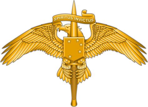 Marsoc To Receive New Breast Insignia Soldier Systems Daily