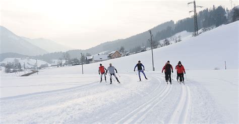 Bergfex Cross Country Skiing Wintertreff Prolling Ybbsitz Cross
