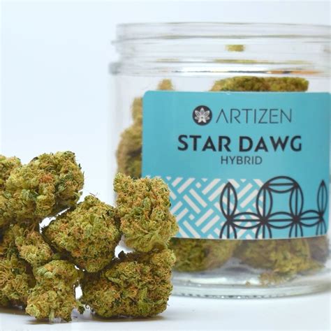 Star Dawg Leafly