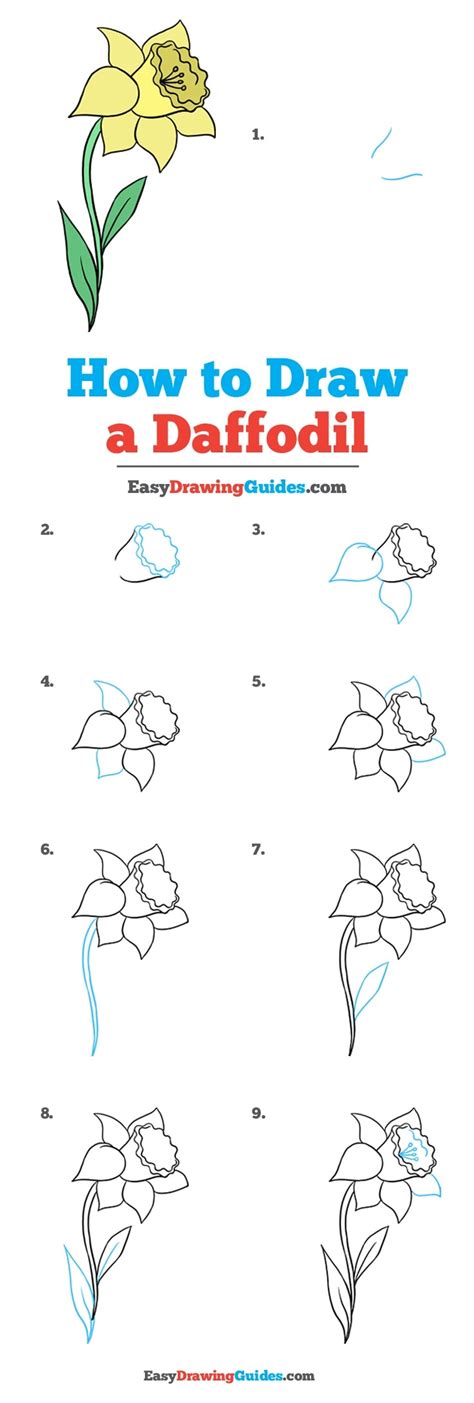 With our free printable flames stencils you will draw fire easily and quickly! How to Draw a Daffodil - Really Easy Drawing Tutorial