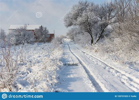 Snowy Winter Landscape In Ukrainian Village Stock Image Image Of