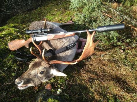 Best Deer Hunting Rifle Of 2018 8 Best Hunters Rifle Unbiased Review