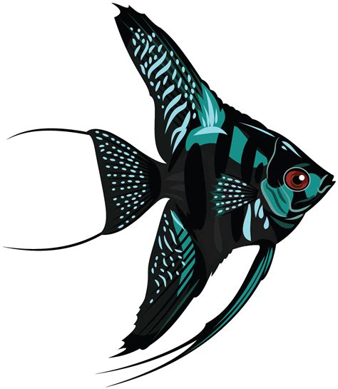 Angelfish Png Transparent Images Png All