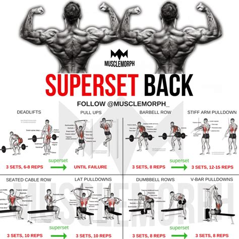 Upper Back Muscle Chart The 10 Best Exercises For A Full Body Workout
