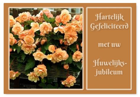Felicitatie Jubileum Jannekes Hofje