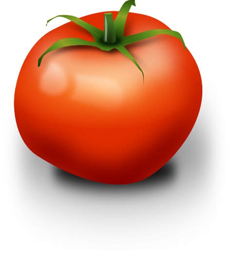 The Picture For The Word Tomato Vegetable Word Associations Network