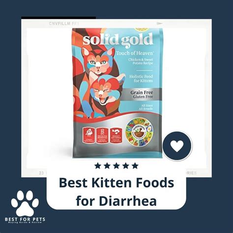 15 Best Kitten Foods For Diarrhea