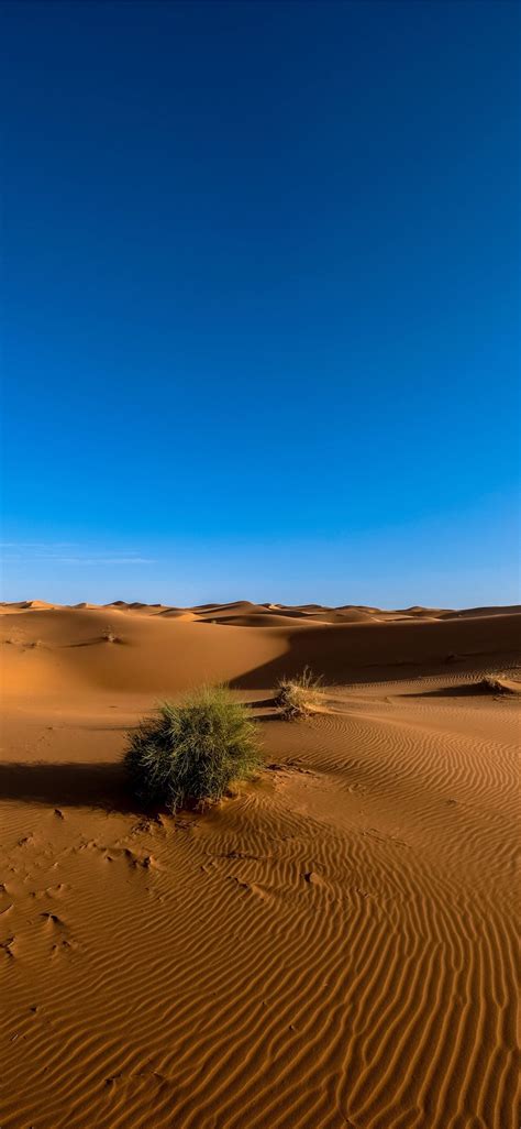 Namib Desert Iphone 11 Wallpapers Free Download