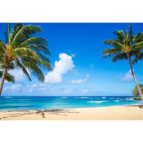 10x65ft Beach Coast Tropical Paradise Blue Sea Sky Coconut Tree