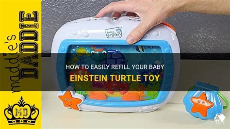 How To Easily Refill Your Baby Einstein Turtle Toy Petshun