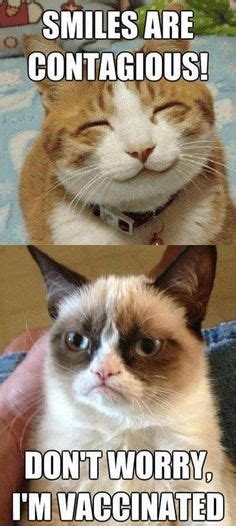 1000 Images About Grumpy Cat On Pinterest Grumpy Cat Grumpy Cat