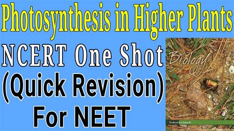 Photosynthesis In Higher Plants Class Ncert One Shot For Neet Exam