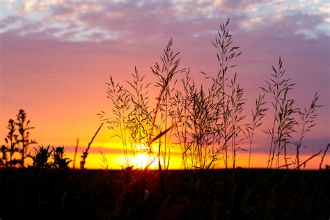 North Dakota Sunsets